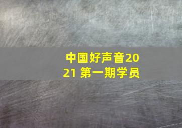 中国好声音2021 第一期学员